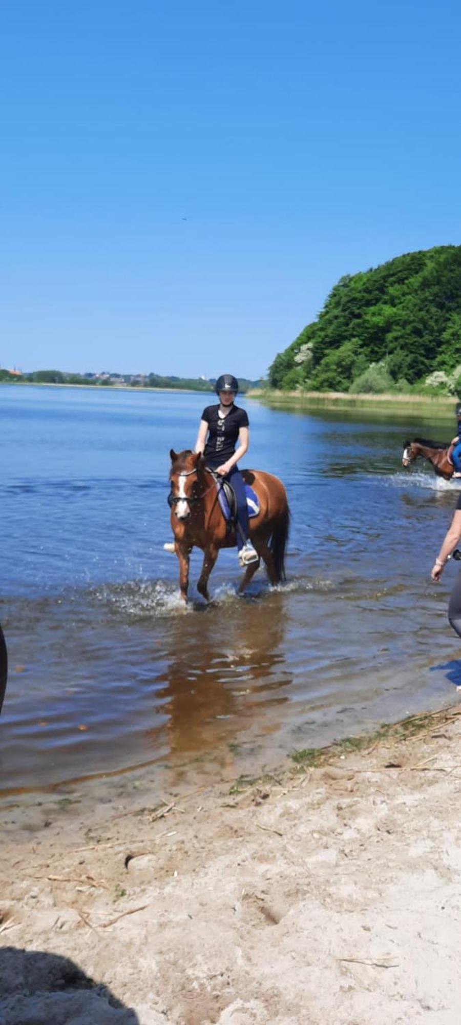 Ferienwohnung Reitanlage Baerenz Selk 外观 照片